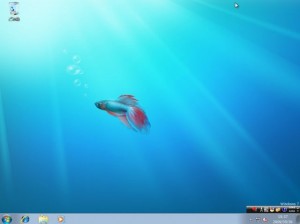 Windows7 RC デスクトップの画面
